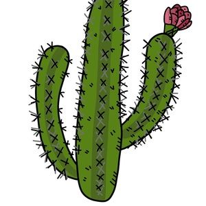 Meet your Posher, Carolyn